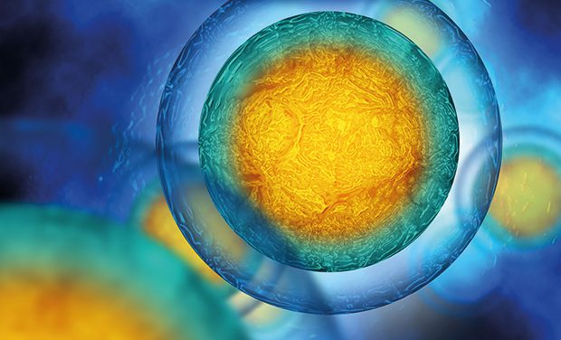 Janssen seeks EU approval for first CAR-T therapy cilta-cel