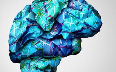 Rise of the organoids