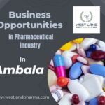 Business Opportunity in Pharma Sector in Ambala