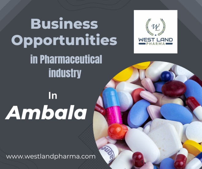 You are currently viewing Business Opportunity in Pharma Sector in Ambala